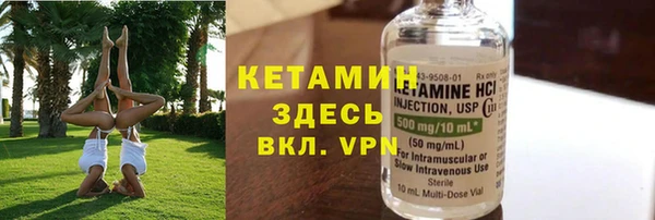 индика Алексин