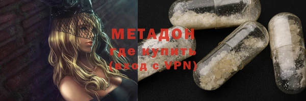 индика Алексин