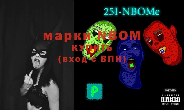 индика Алексин