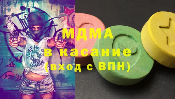 индика Алексин