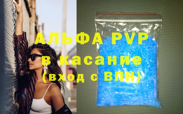 индика Алексин