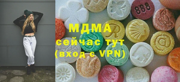 индика Алексин