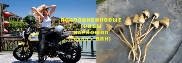 индика Алексин