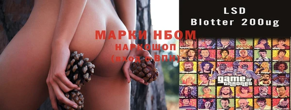 индика Алексин