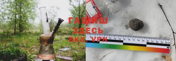 индика Алексин