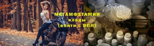 индика Алексин