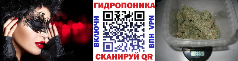 Каннабис планчик  ОМГ ОМГ как зайти  Юрьев-Польский 
